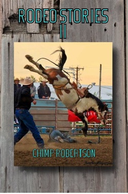 Rodeo Stories II